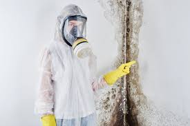 Best Commercial Mold Inspection  in Dover, NH